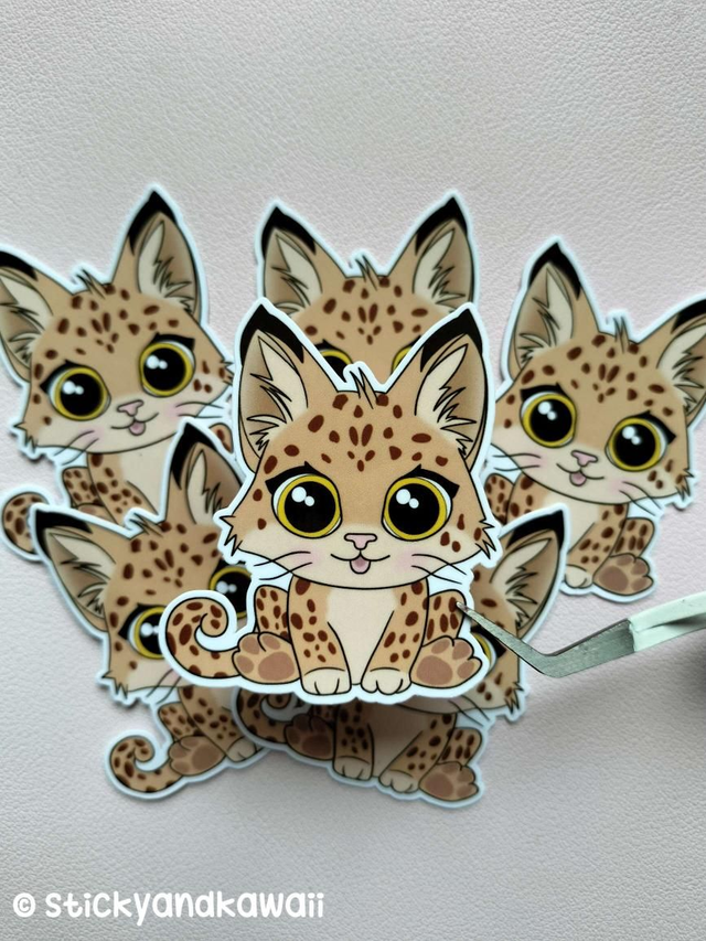 Le lynx au sourire adorable